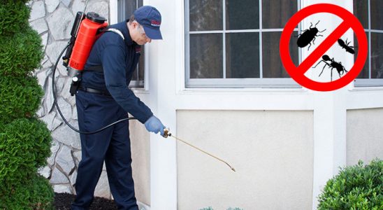 Uzundere Kene İlaçlama böcek ilaçlama ve haşere kontrolü — ilaclama-tr.com